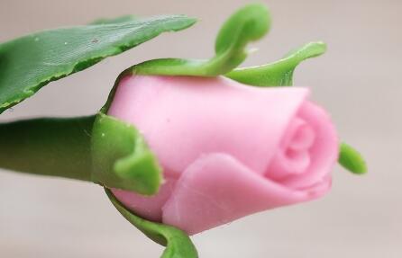 美女明星，五大特征，你舍得爱吗？