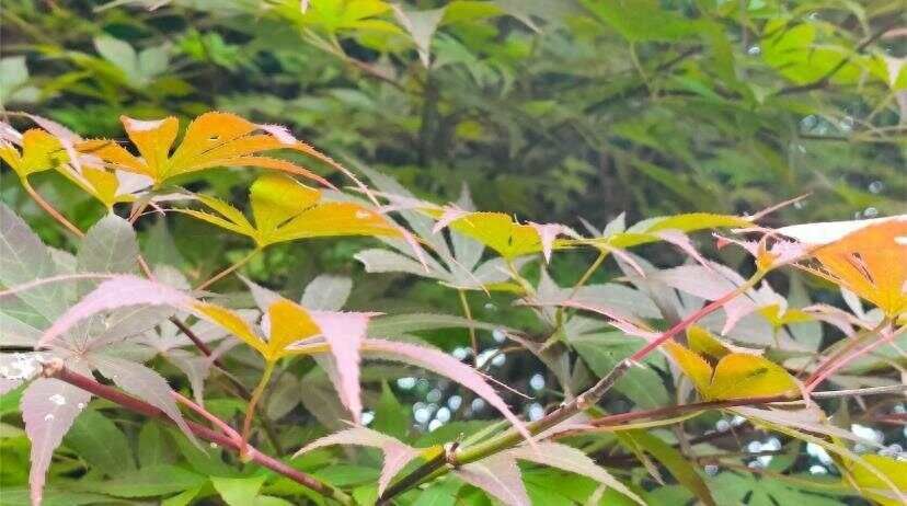 人过六十，逐一还完这3种债，就离归去不远了